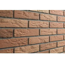 Roodbruine steenstrips met een gestructureerd oppervlak in baksteenlook en grijze voegen.