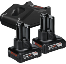 Bosch Professional set met twee 12 Volt 6,0 Ampère-uur Lithium-Ion accu's en een oplader.