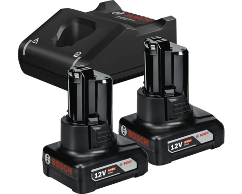 Bosch Professional set met twee 12 Volt 6,0 Ampère-uur Lithium-Ion accu's en een oplader.