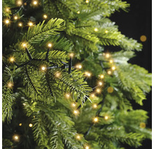 Detailopname van een groene kerstboom met een warmwit lichtsnoer tussen de takken.