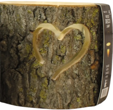 Houten decoratieve lamp met hartvormige uitsnede van natuurlijk hout met boomschors.