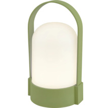 Draagbare LED-tafellamp met groene voet en draagbeugel.