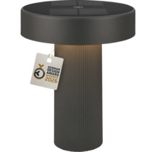 Moderne solar tafellamp in antraciet met geribbelde voet en label German Design Award Winner 2026.