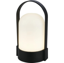 Moderne draagbare tafellamp met een zwarte voet en handgreep en een witte, lichtdoorlatende koepel.