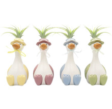 Vier decoratieve keramische eenden met Tillandsia luchtplanten in diverse pastelkleuren.