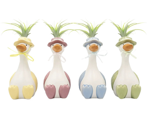 Vier decoratieve keramische eenden met Tillandsia luchtplanten in diverse pastelkleuren.
