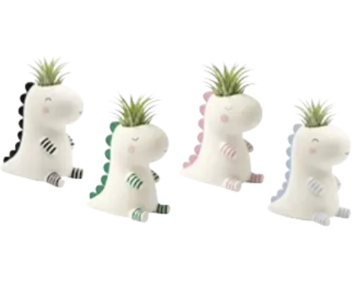 Vier decoratieve dinosaurus plantenpotten van keramiek met Tillandsia luchtplanten.