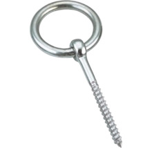 Zilverkleurige ringschroef van metaal met losse ring.