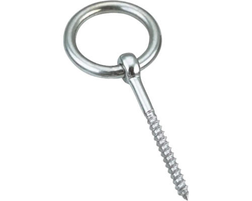 Zilverkleurige ringschroef van metaal met losse ring.