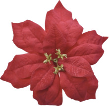 Kunstkerstster in rood met gouden glitters in het midden voor kerstdecoratie.
