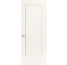 Witte binnendeur met een groot rechthoekig paneel en een moderne zilveren deurgreep.