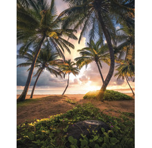 Weids tropisch zandstrand met palmbomen bij een heldere zonsondergang, lichte atmosfeer met natuurlijke plantengroei op de voorgrond.