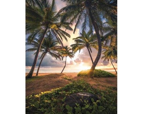 Weids tropisch zandstrand met palmbomen bij een heldere zonsondergang, lichte atmosfeer met natuurlijke plantengroei op de voorgrond.