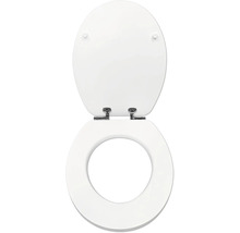 Witte toiletzitting met deksel en metalen scharnieren in geopende stand.