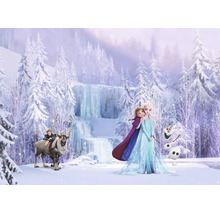 Fotobehang Disney Frozen met Elsa, Anna, Olaf, Kristoff en Sven in een besneeuwd winterlandschap met bevroren waterval.