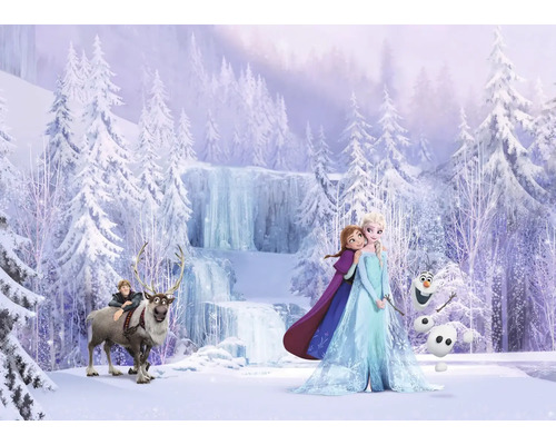 Fotobehang Disney Frozen met Elsa, Anna, Olaf, Kristoff en Sven in een besneeuwd winterlandschap met bevroren waterval.
