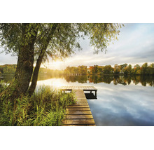 Vliesbehang met een houten steiger aan een meer bij zonsondergang met bomen.