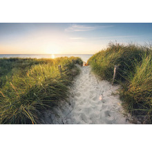 Fotobehang van een zandpad door de duinen naar de zee bij zonsondergang met duingras.