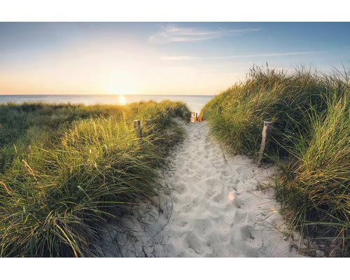 Fotobehang van een zandpad door de duinen naar de zee bij zonsondergang met duingras.
