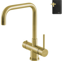 Selsiuz kokendwaterkraan met L-uitloop, goud, inclusief boiler.