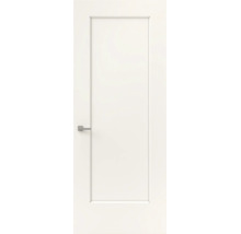 Witte binnendeur met een grote paneelvulling en zilveren deurkruk.