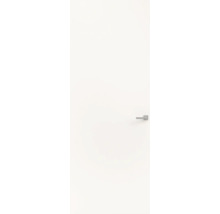 Witte binnendeur met moderne zilverkleurige deurklink.