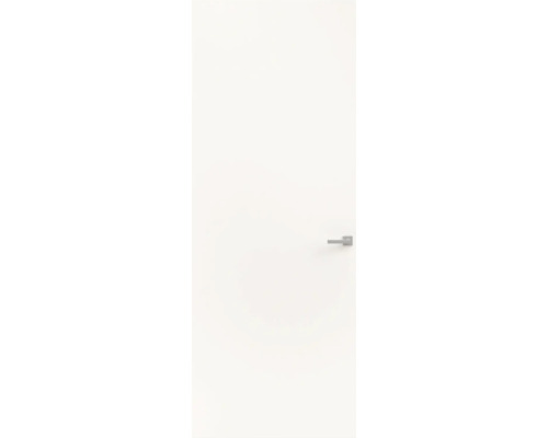 Witte binnendeur met moderne zilverkleurige deurklink.
