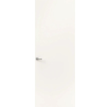 Witte binnendeur met zilverkleurige deurklink in een strak ontwerp.