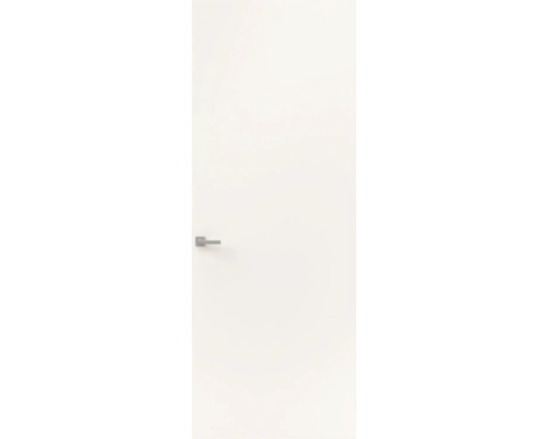 Witte binnendeur met zilverkleurige deurklink in een strak ontwerp.