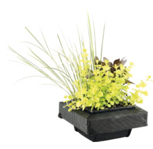 Drijvend planteiland voor de vijver met diverse vijverplanten en grassen in een zwarte stoffen plantenmand.