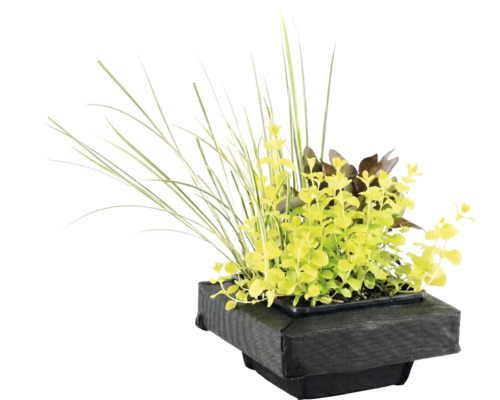 Drijvend planteiland voor de vijver met diverse vijverplanten en grassen in een zwarte stoffen plantenmand.
