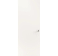 Eenvoudige witte binnendeur met moderne zilverkleurige deurkruk.