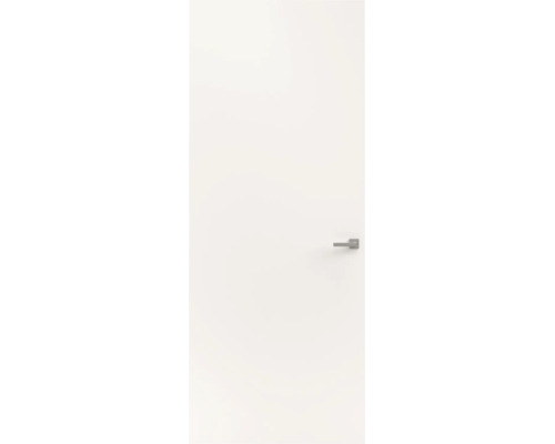 Eenvoudige witte binnendeur met moderne zilverkleurige deurkruk.