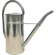 Metalen gieter met lange tuit en handvat.
