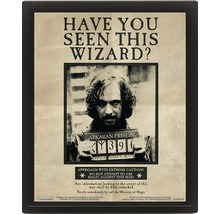 Harry Potter poster Sirius Black Have You Seen This Wizard in zwarte lijst