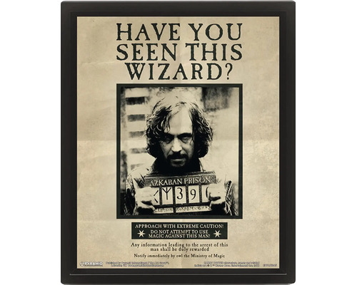 Harry Potter poster Sirius Black Have You Seen This Wizard in zwarte lijst