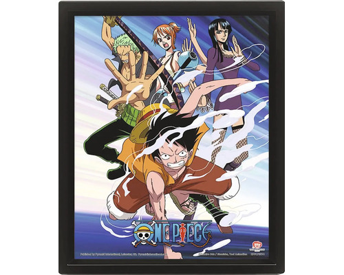 3D lenticulair poster One Piece met de personages Luffy, Zoro, Nami en Robin in een zwarte lijst met One Piece logo.