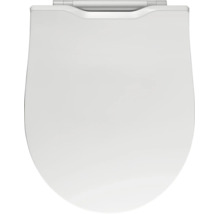 Toiletbril in klassieke vorm met scharnieren en deksel.