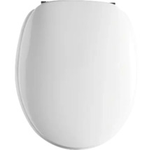 Ovale toiletzitting in wit met gesloten deksel.
