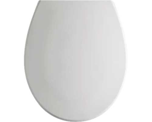 Ovale wc-bril deksel in een eenvoudig ontwerp.