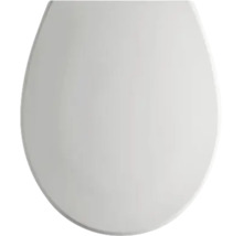 Ovale wc-bril deksel in een eenvoudig ontwerp.