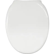 Toiletzitting met deksel in wit, ovale vorm, glad oppervlak.