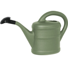 Groene kunststof gieter met zwarte broeskop en ergonomische handgreep.