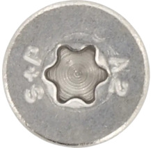 Detailopname van een ronde schroefkop met Torx-aandrijving en de markeringen S en P en A2 voor roestvrij staal.
