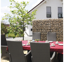 Schanskorf als privacyhaag op een terras met een gedekte eettafel en gevlochten tuinstoelen.