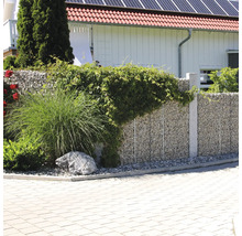 Moderne tuin met schanskorfwand van natuursteen, beplant met siergras en klimplanten voor een licht bestraat oppervlak.