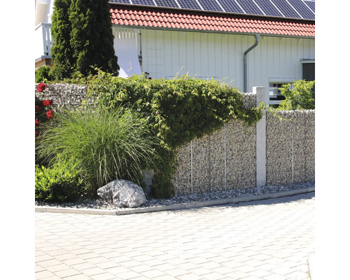 Moderne tuin met schanskorfwand van natuursteen, beplant met siergras en klimplanten voor een licht bestraat oppervlak.