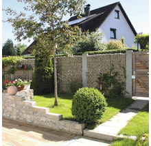 Tuin met een schanskorfwand van natuursteen, granieten palen, houten poort en een lage muur van steenblokken.