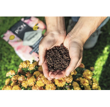 Twee handen houden plantensubstraat vast boven bloemen in de tuin, met een zak Lechuza Pon op de achtergrond.