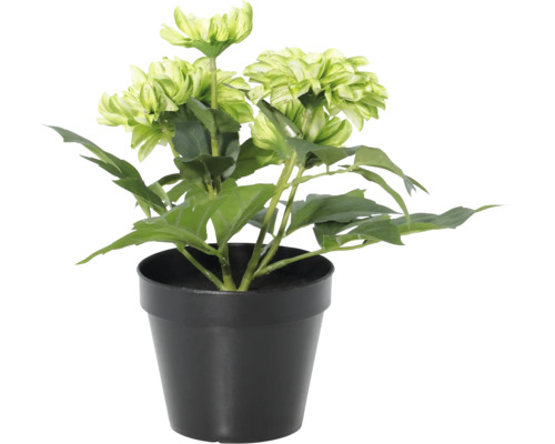 Kunstbloem dahlia in zwarte kunststof pot, kunstplant.